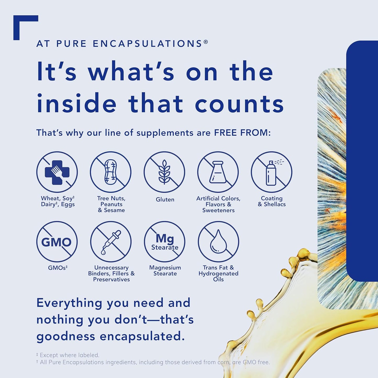 O.N.E. Multivitamin – Multivitamínico 1 al día con Metafolin®, CoQ10 y Luteína – Soporte cognitivo, visual y celular* – 60 cápsulas