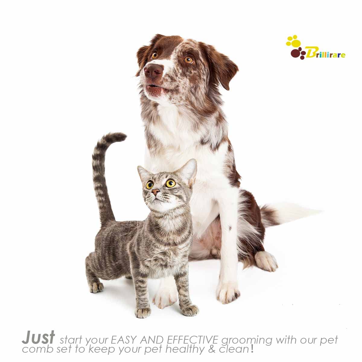 Set de 2 Cepillos de Silicona para Perros y Gatos | Cepillo de Baño y Grooming con Mango Ajustable | Masaje, Deshedding y Limpieza Suave