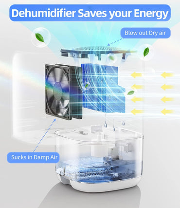 Deshumidificador Portátil 35 oz (1000 ml) | Silencioso con Apagado Automático, Tanque Transparente y Luz LED de 7 Colores | Ideal para Dormitorio, Baño, RV y Armario (Hasta 26 m² / 280 ft²)