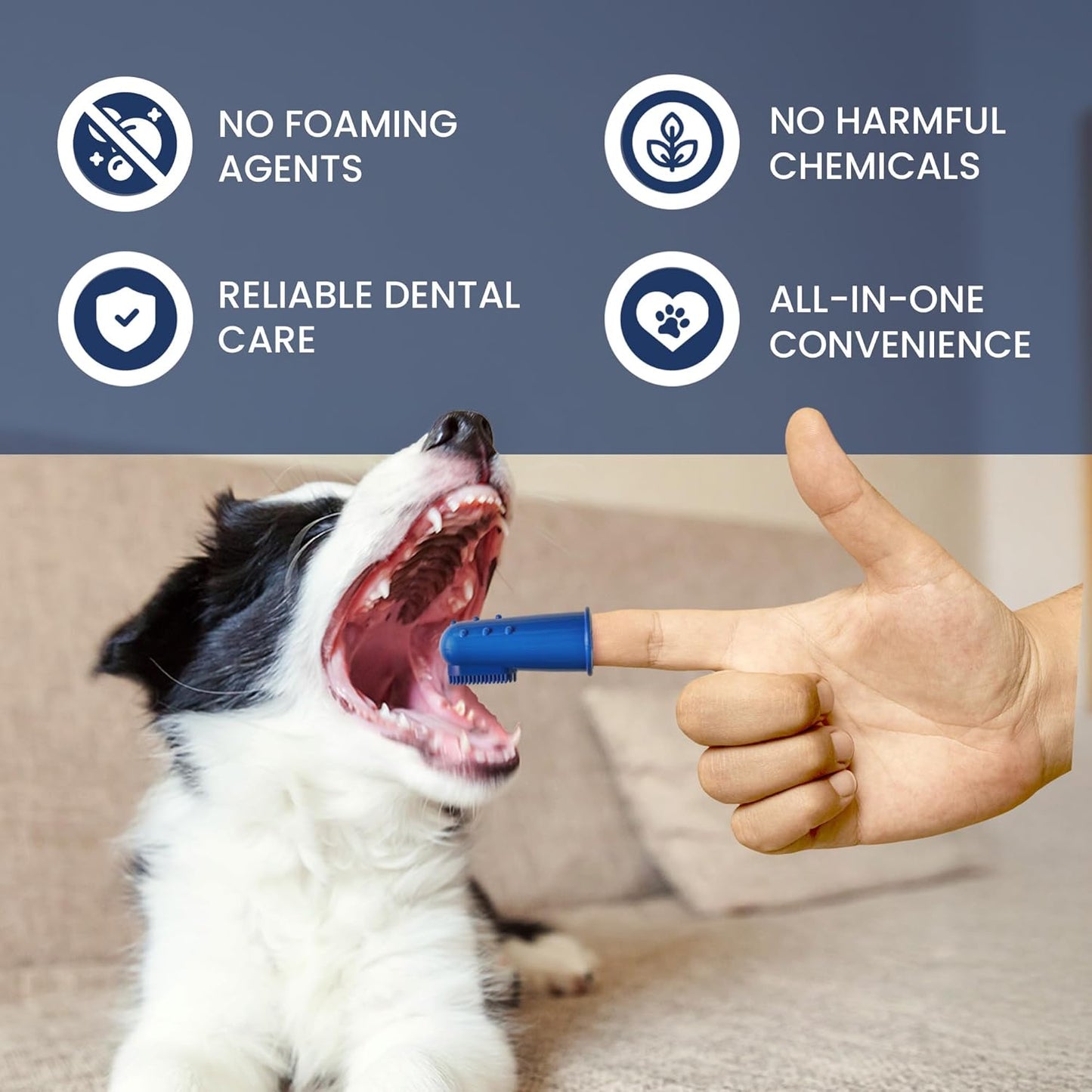 Rad Health Kit Dental para Mascotas | Cepillo y Pasta Dental para Perros y Gatos | Higiene Oral Diaria