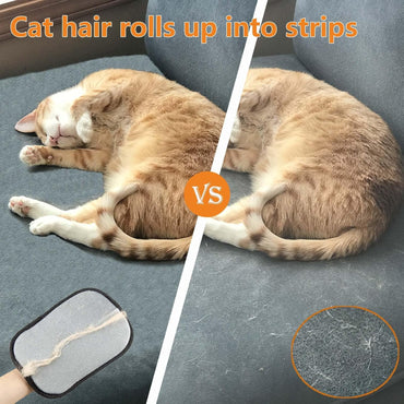 Guante electrostático para eliminar el pelo de perros y gatos para sofá, alfombra, asiento de auto