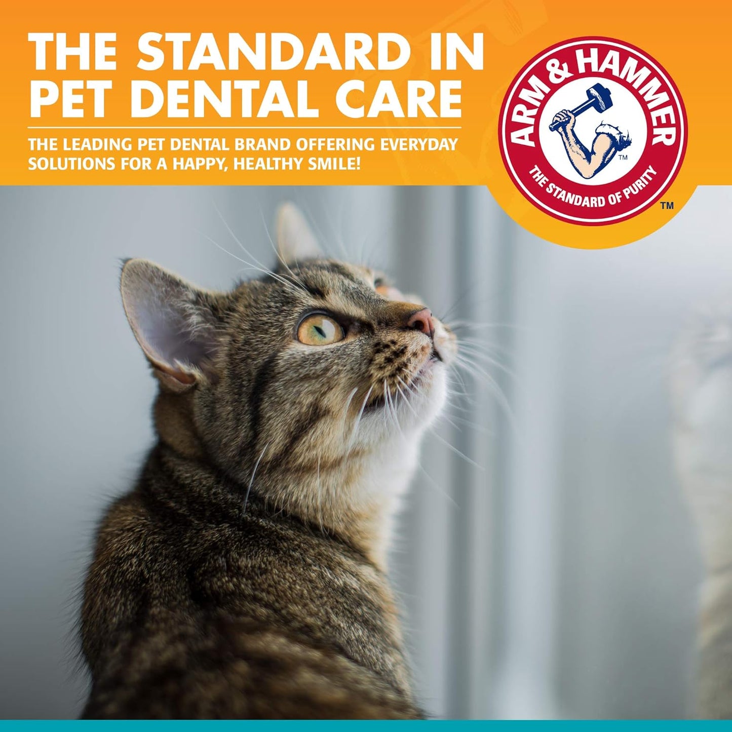 Arm & Hammer Kit Dental para Gatos | Cepillo, Dedo Cepillo y Pasta Dental Sabor Atún con Bicarbonato | 3 Piezas