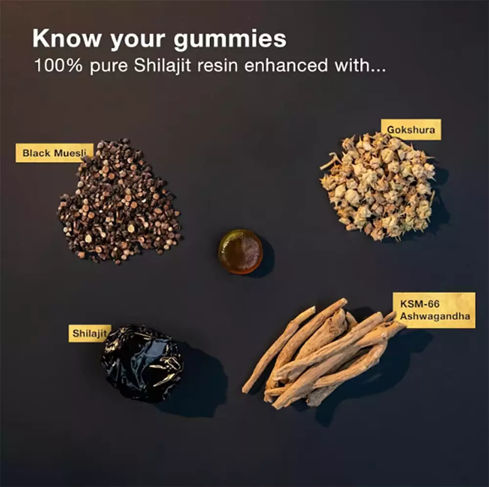 Gomitas de Shilajit del Himalaya GOLD – 3000 mg
