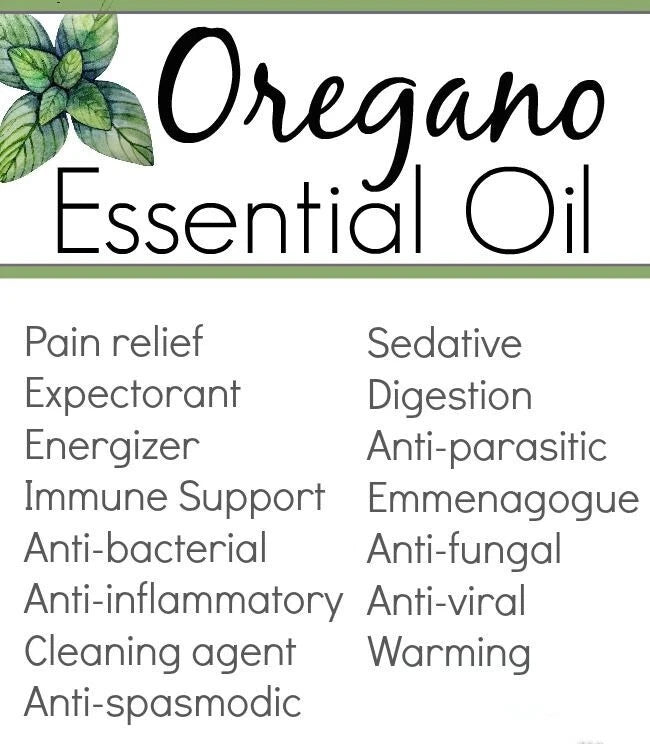 Aceite Esencial de Orégano Silvestre – 100% Orgánico, No GMO – Soporte Inmune y Digestivo – 30 ml
