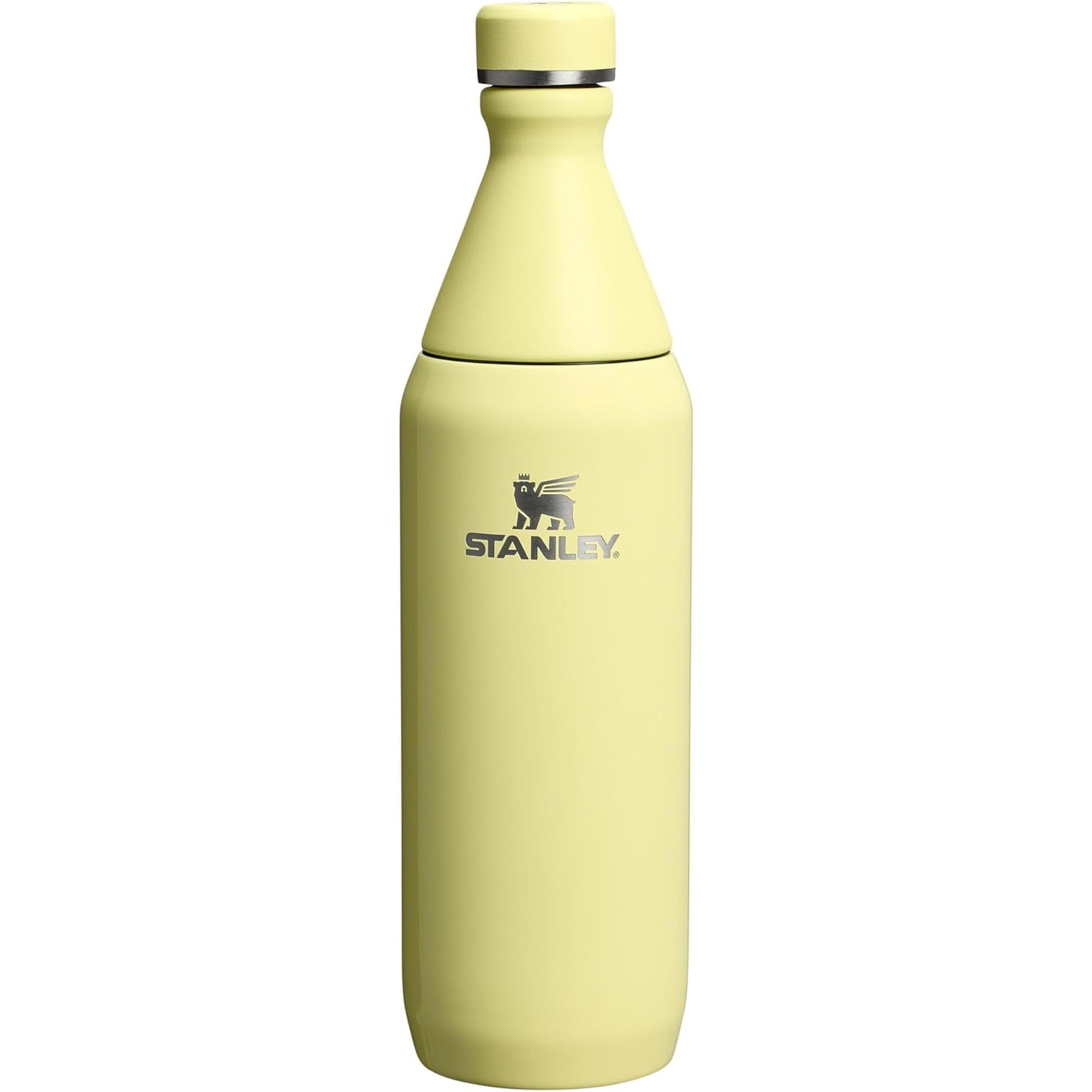 All Day Slim Bottle 20 Oz | Leakproof Twist on Lid | Slim Design for Travel and Gym | Insulated Stainless Steel Water Bottle | Bpa-Free | Pomelo Gloss