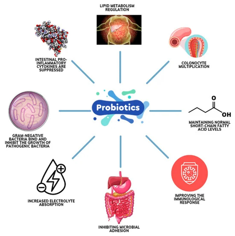 Raw Probiotics | 100 Mil Millones de UFC – 120 Cápsulas | Salud Digestiva e Inmunológica