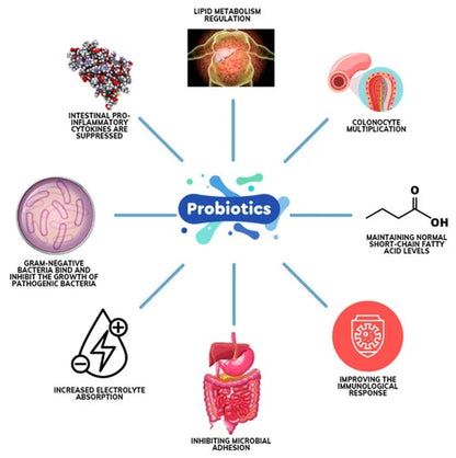 Raw Probiotics | 100 Mil Millones de UFC – 120 Cápsulas | Salud Digestiva e Inmunológica