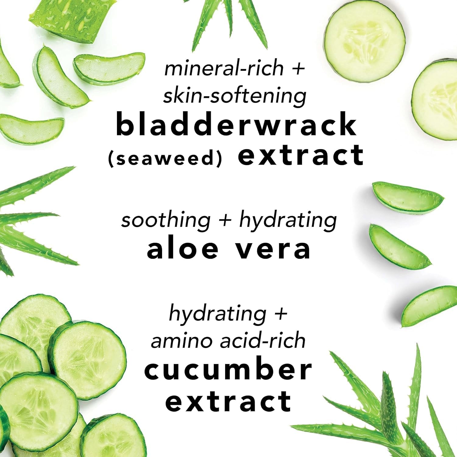 Bruma Facial con Aloe, Hierbas & Agua de Rosas | Hidrata, Reaviva el Brillo y Ayuda a Clarificar | Apta para Todo Tipo de Piel | Vegana, Oil-Free