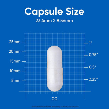 N-Acetyl L-Cysteine (NAC) 600 mg – 180 Cápsulas | Vegano, Sin OGM, Sin Gluten