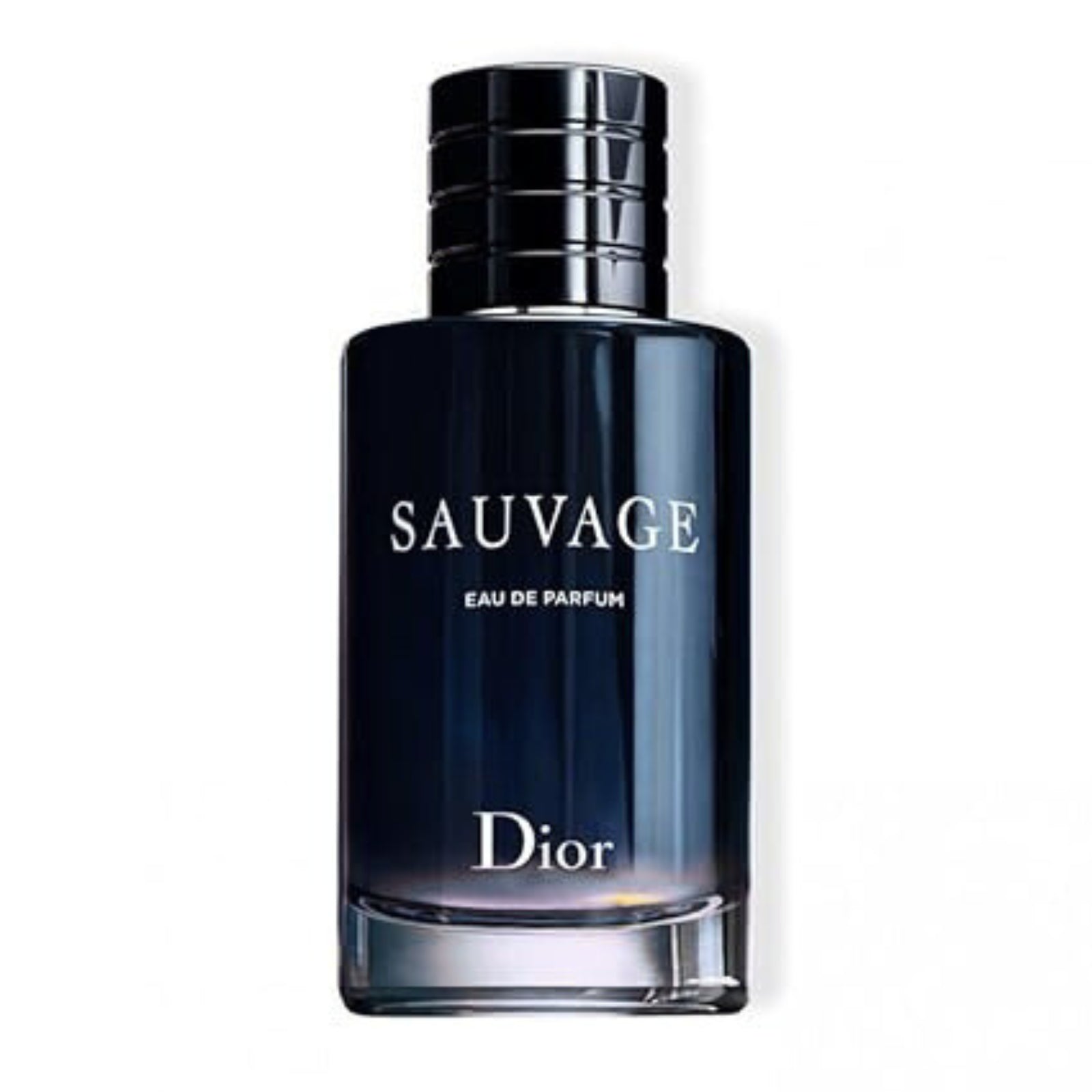 Sauvage by Christian Dior EDT 3.4Oz/ 100Ml NEW and SEALED in BOX Free Shipping