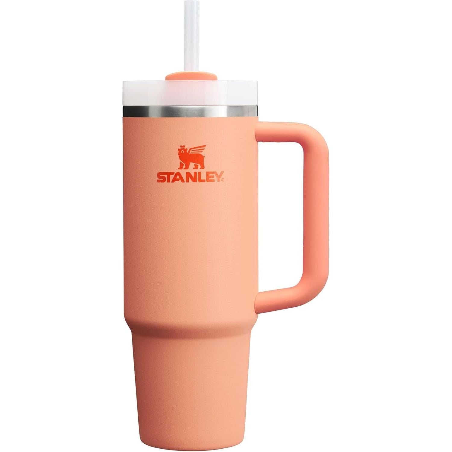 Quencher H2.0 Tumbler with Handle and Straw 30 Oz | Flowstate 3-Position Lid | Cup Holder Compatible for Travel | Insulated Stainless Steel Cup | Bpa-Free | Exclusive Blue Cactus