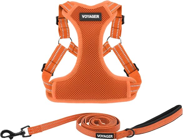Arnés Voyager Aerolite Best Pet Supplies | No Pull, Reflectivo y Transpirable | Ajustable y Duradero | Beige XS