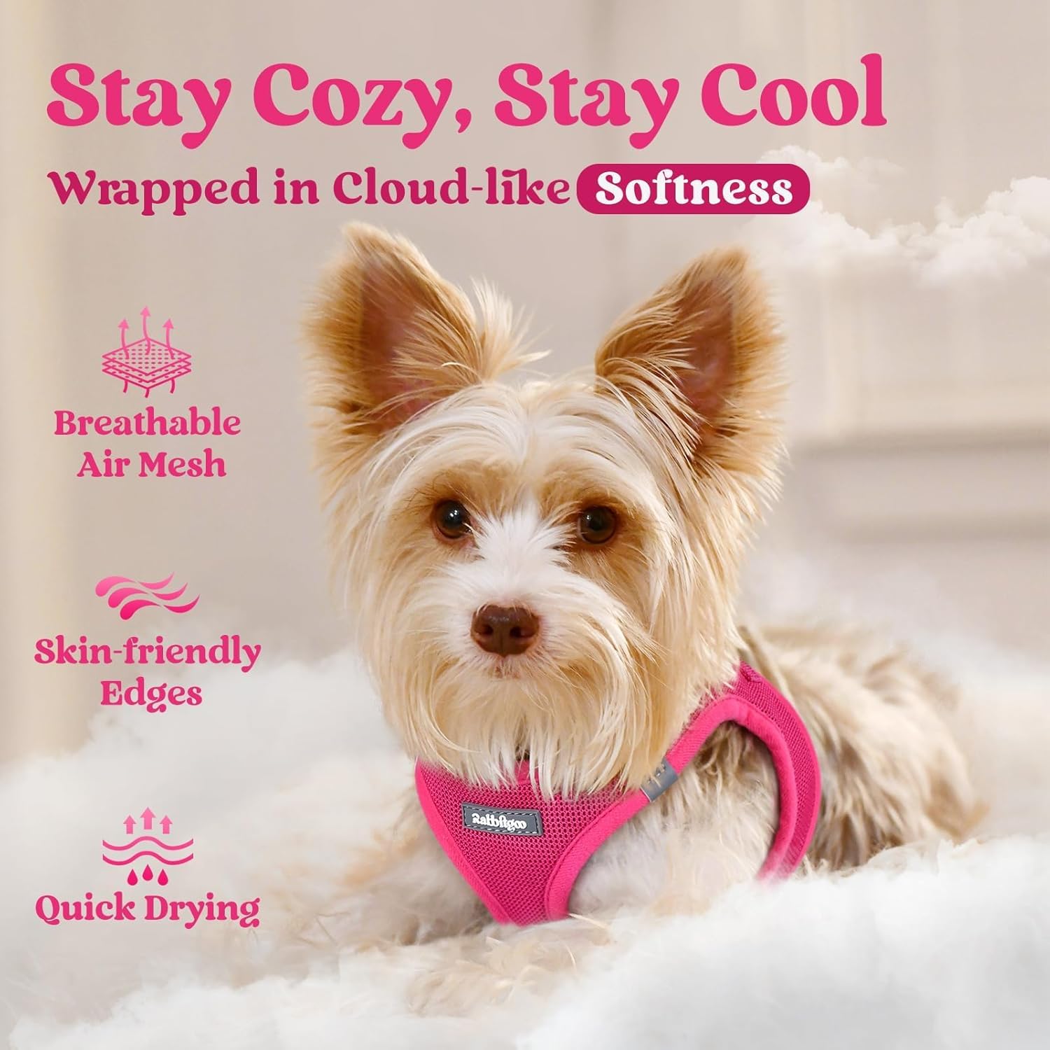 Arnés para perro pequeño | Hebilla de seguridad | Reflectante transpirable