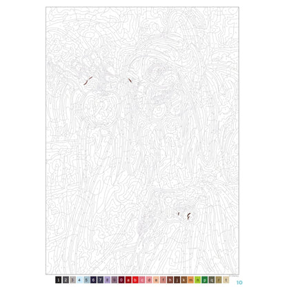 Dibujos para colorear de Disney Mystery | Edición: Villanos | Arteterapia | Idioma: Francés