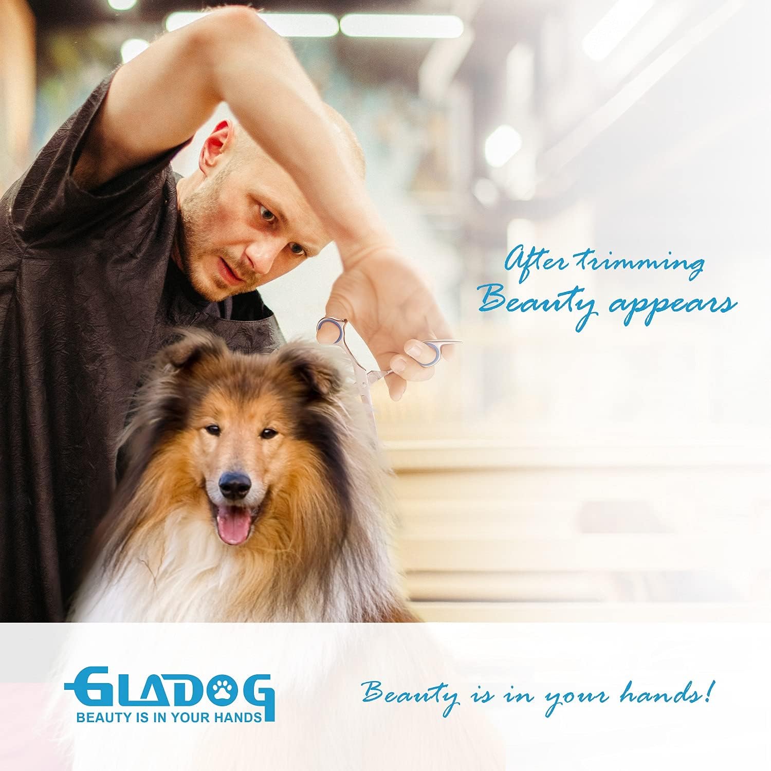GLADOG Kit Tijeras de Grooming 5 en 1 para Perros y Gatos | Tijeras de Acero Inoxidable con Puntas Redondeadas + Peine y Estuche