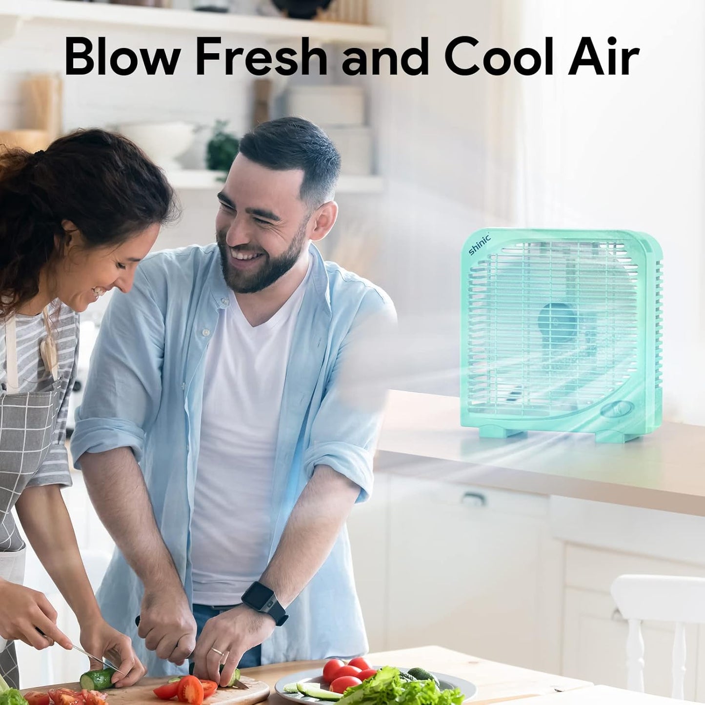 Ventilador de  mesa | 10 pulgadas | 2 velocidades