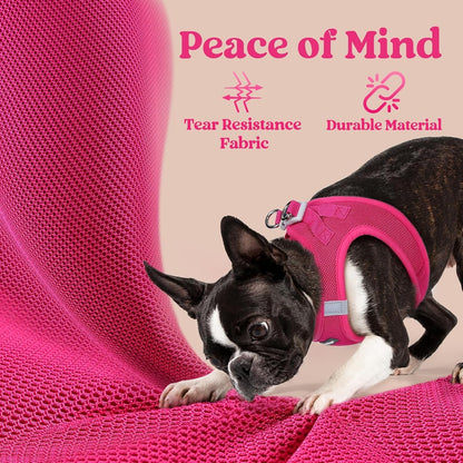 Arnés para perro pequeño | Hebilla de seguridad | Reflectante transpirable