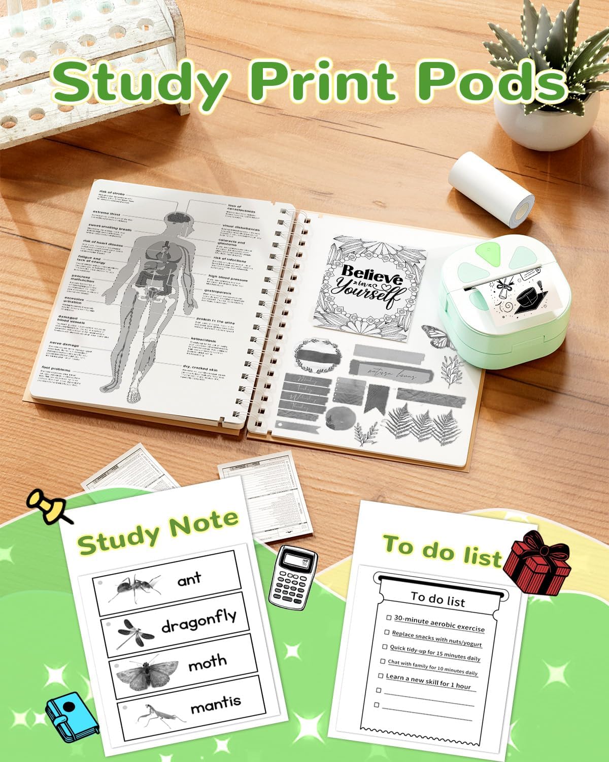 Mini impresora de calcomanías | Térmica | Bluetooth | Portátil | Incluye 3 rollos de papel 