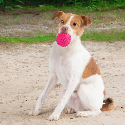 Best Pet Supplies Juguete Resistente para Perros Masticadores Agresivos | Pelota con Sonido, Caucho No Tóxico con Púas Dentales | Fucsia 3.5”