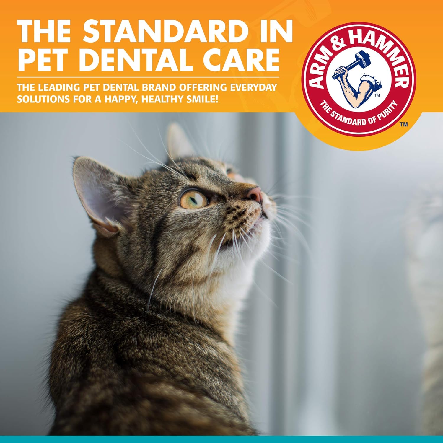 Arm & Hammer Kit Dental para Gatos | Cepillo, Dedo Cepillo y Pasta Dental Sabor Atún con Bicarbonato | 3 Piezas