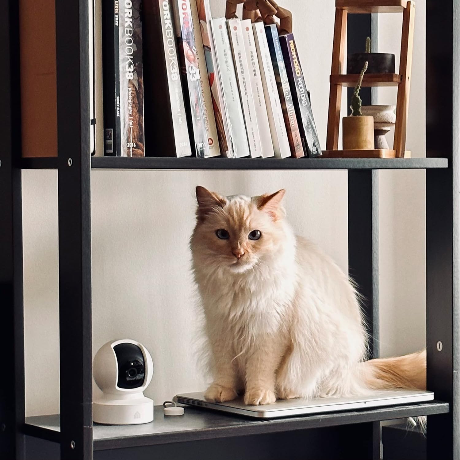 Cámara de Seguridad Inteligente Kasa EC70 Pan/Tilt | 1080P HD, Visión Nocturna, Detección de Movimiento y Sonido, Almacenamiento en Nube o MicroSD, Compatible con Alexa y Google Home – Blanca