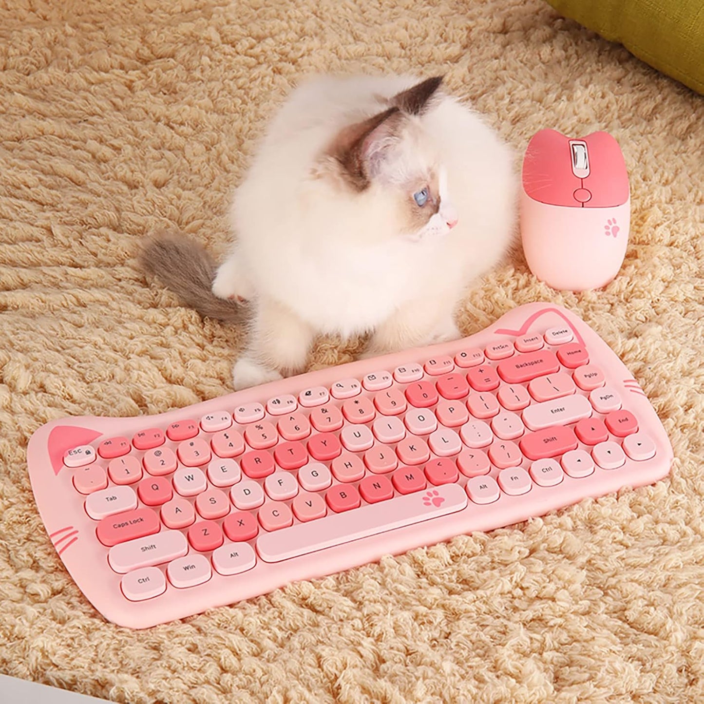 Teclado y mouse inalámbricos Gatito | Teclas silenciosas | 84 teclas | Color: Rosa