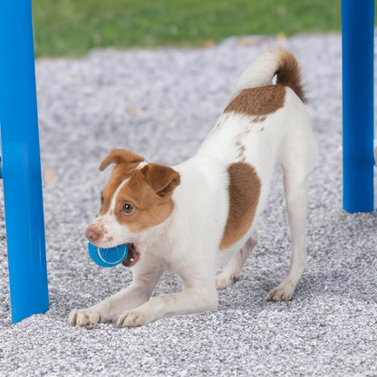 Best Pet Supplies Pelotas de Tenis para Perros con Sonido | Pack 2 Juguetes Resistentes para Lanzar y Buscar | Talle Grande