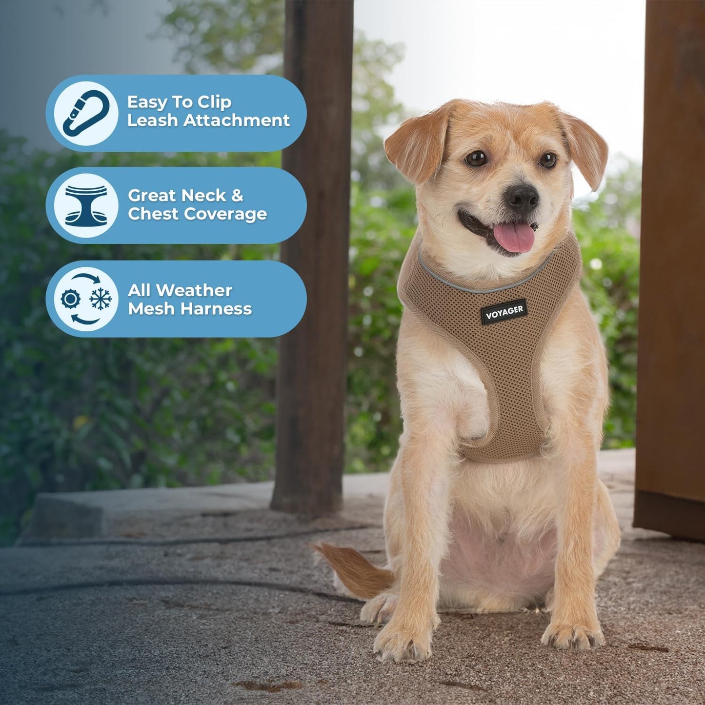 Arnés Voyager Aerolite Best Pet Supplies | No Pull, Reflectivo y Transpirable | Ajustable y Duradero | Beige XS