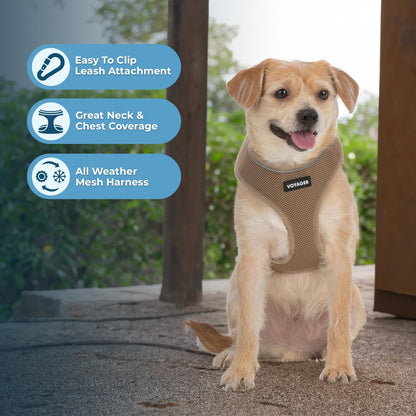 Arnés Voyager Aerolite Best Pet Supplies | No Pull, Reflectivo y Transpirable | Ajustable y Duradero | Beige XS