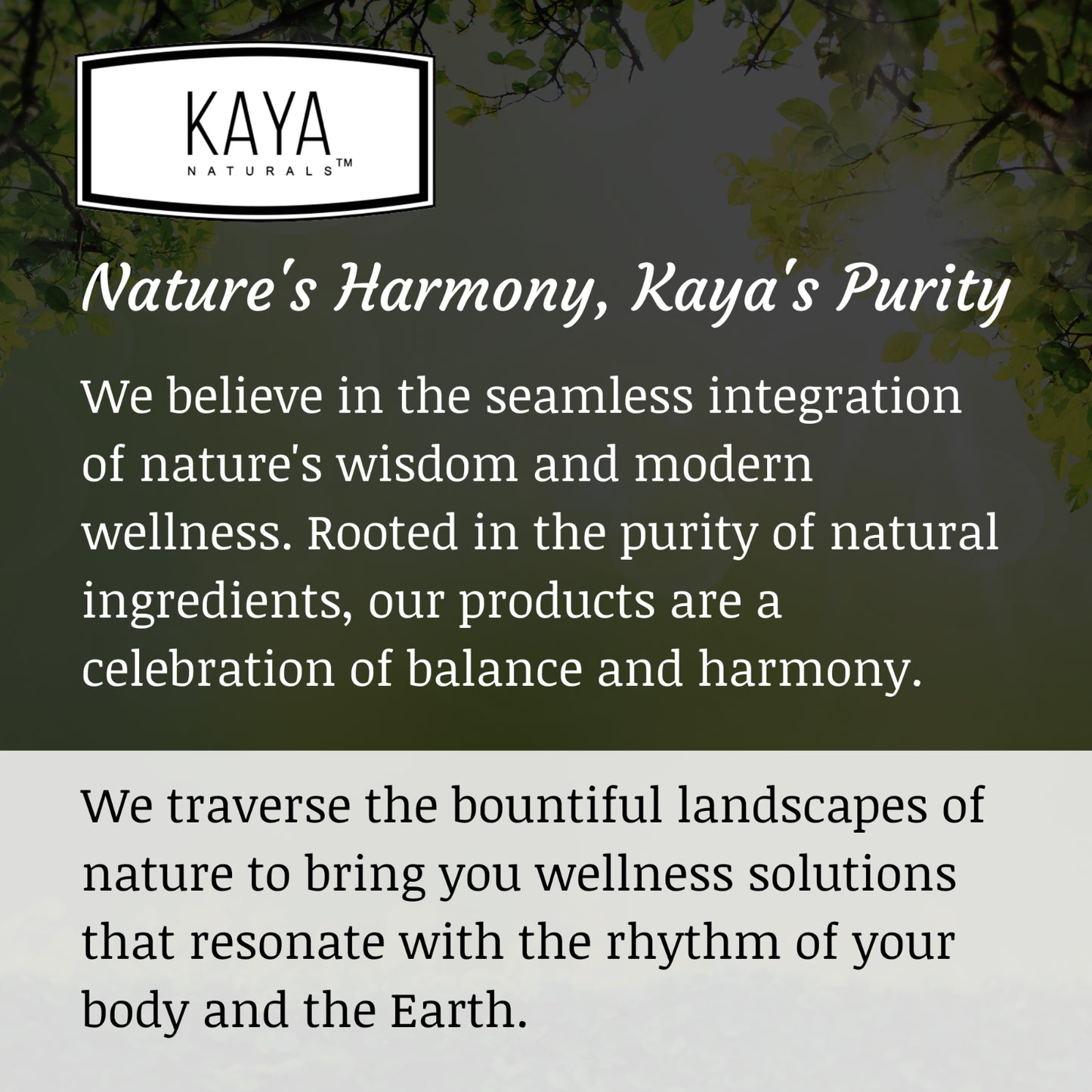 Kaya Collagen Peptides + Ácido Hialurónico – 1200 mg | Cápsulas