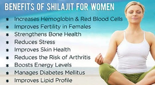 Gomitas de Shilajit del Himalaya GOLD – 3000 mg
